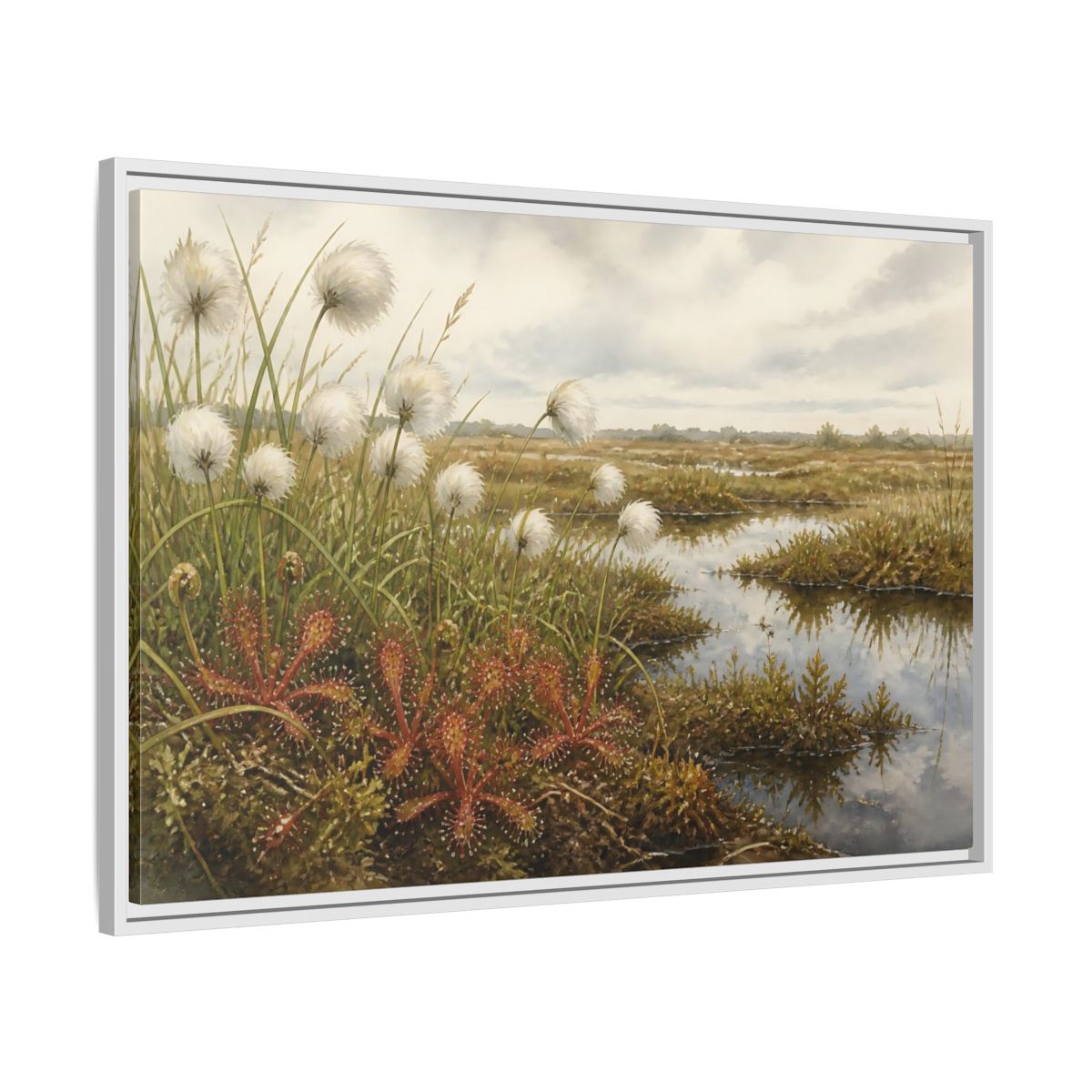 Side Mockup 9. Bog Cotton And Sundew shown as framed canvas print