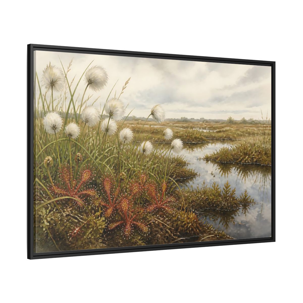 Side Mockup 12. Bog Cotton And Sundew shown as framed canvas print