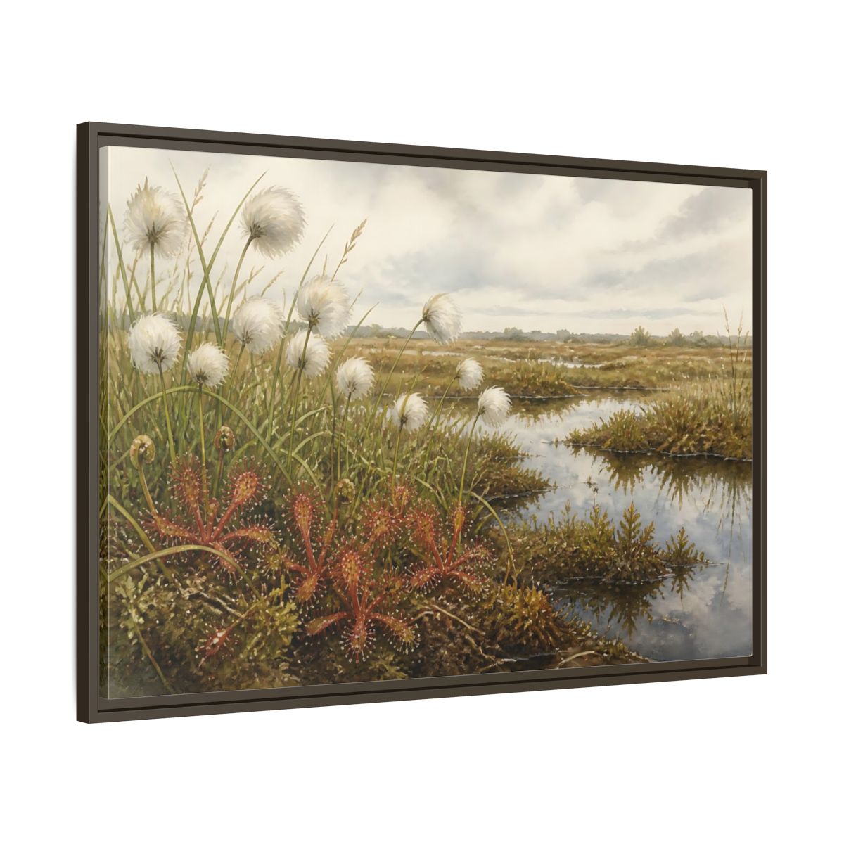 Main Mockup. Bog Cotton And Sundew shown as framed canvas print
