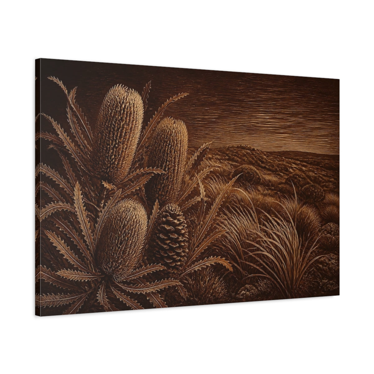 Main Mockup. Burnt Umber Banksia Cones shown as canvas print