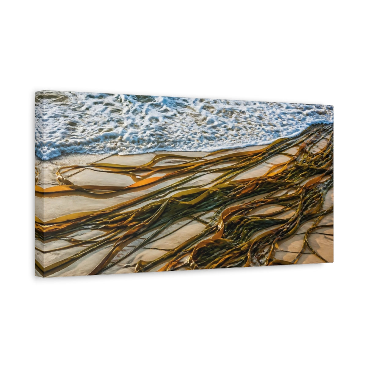 Side Mockup 3. Coastal Kelp Ribbons shown as canvas print