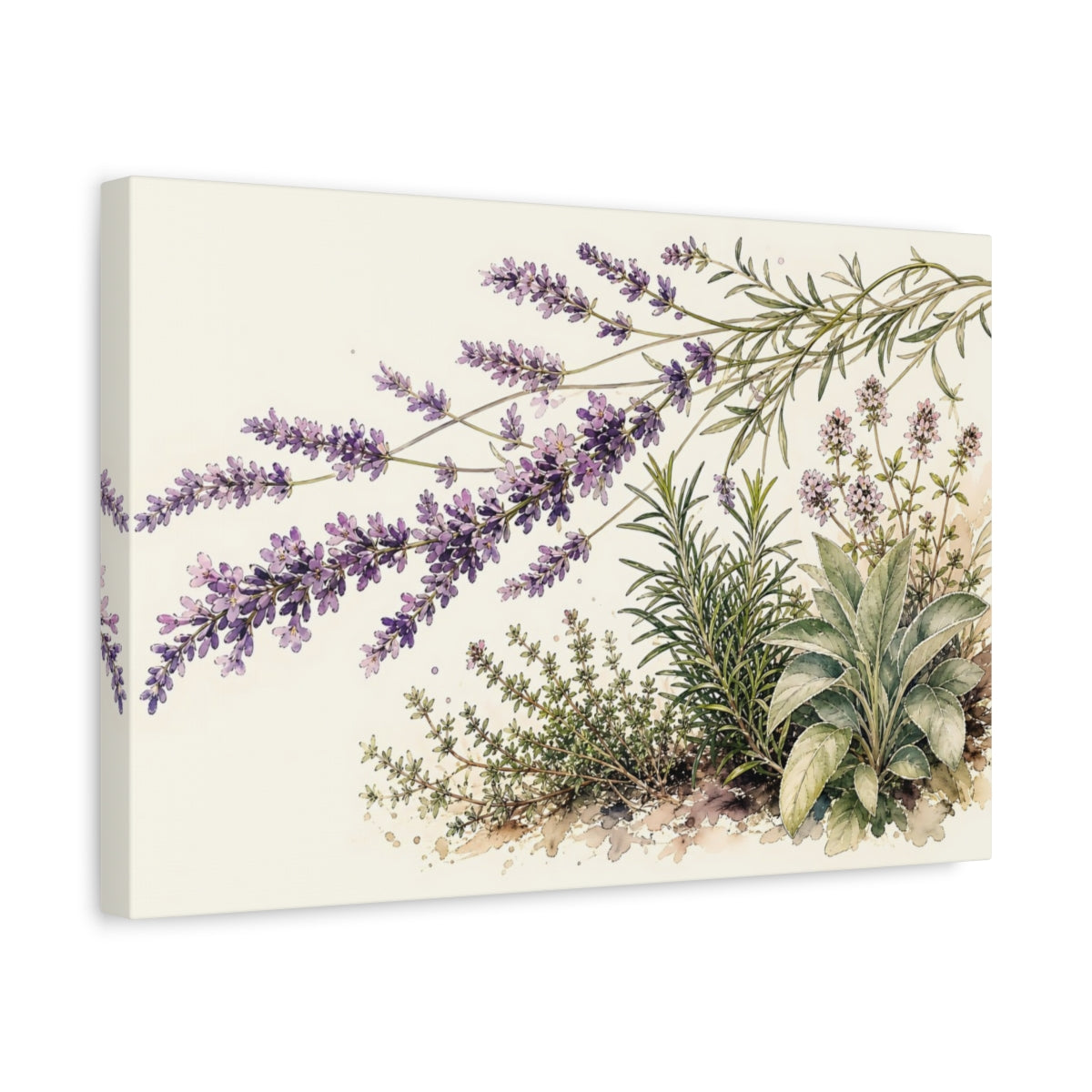 Side Mockup 4. Delicate Ink Contour Drawing Row Of Coral Lavender Beside Herb Garden shown as stretched canvas wall art