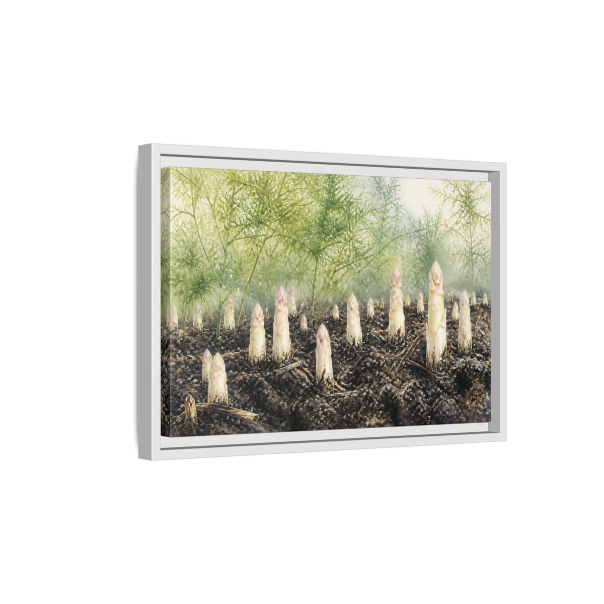 Side Mockup 4. Emerging White Asparagus shown as framed canvas print