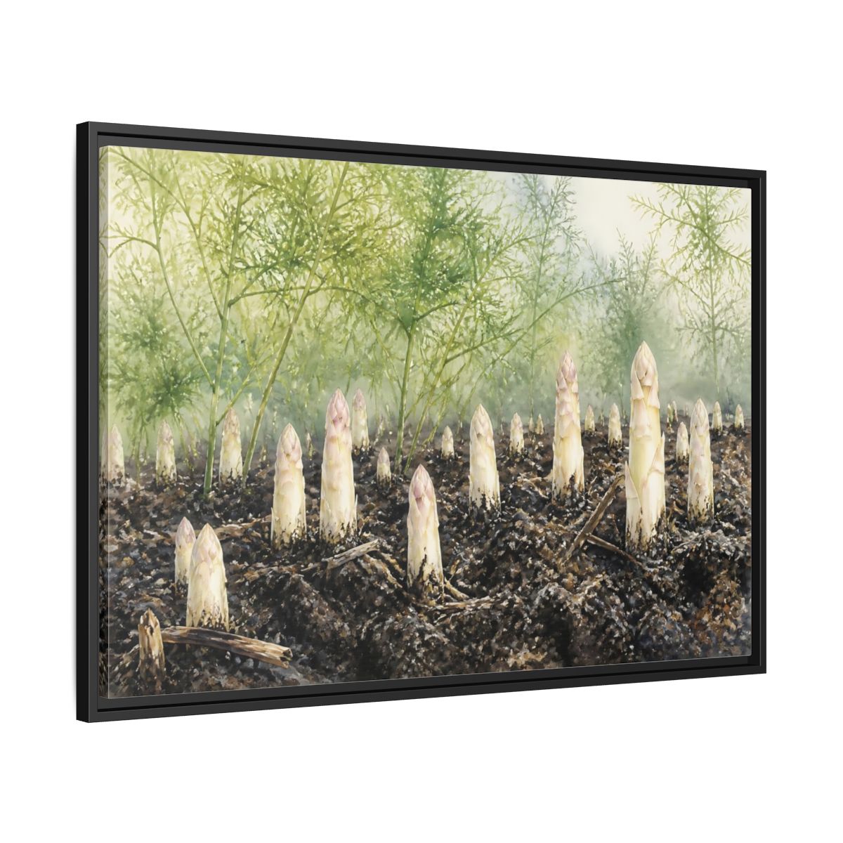 Side Mockup 13. Emerging White Asparagus shown as framed canvas print