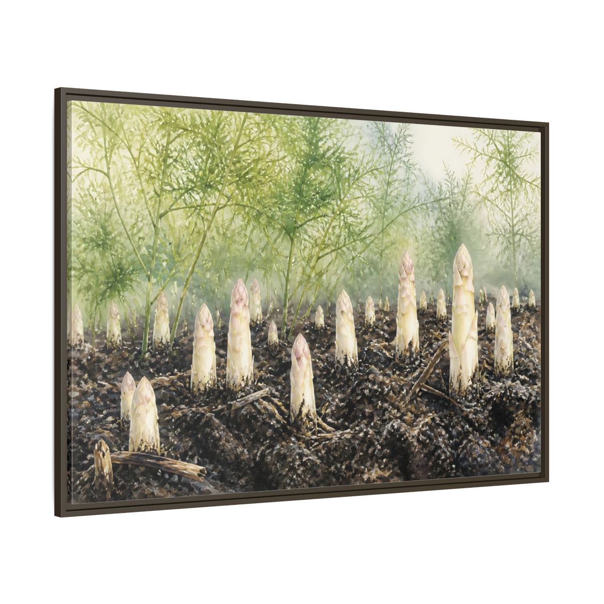 Side Mockup 8. Emerging White Asparagus shown as framed canvas print