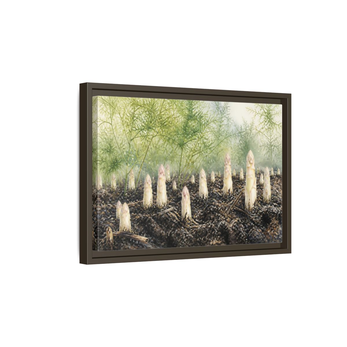 Side Mockup 5. Emerging White Asparagus shown as framed canvas print