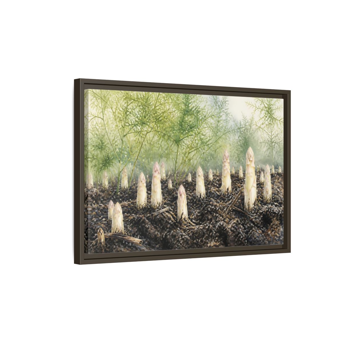 Side Mockup 2. Emerging White Asparagus shown as framed canvas print