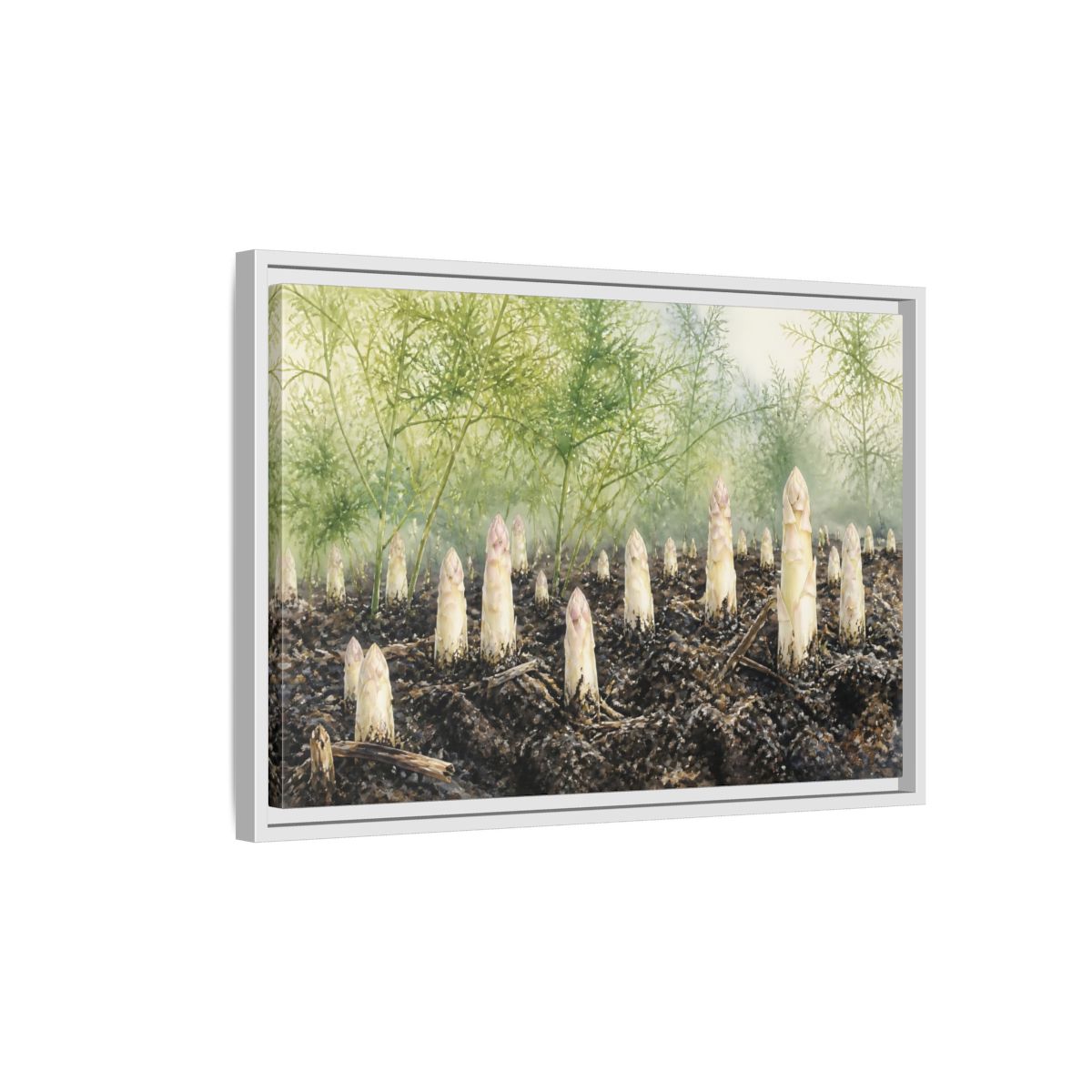 Side Mockup 1. Emerging White Asparagus shown as framed canvas print