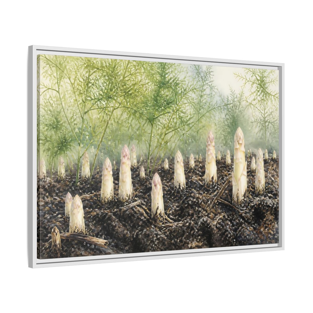 Side Mockup 9. Emerging White Asparagus shown as framed canvas print