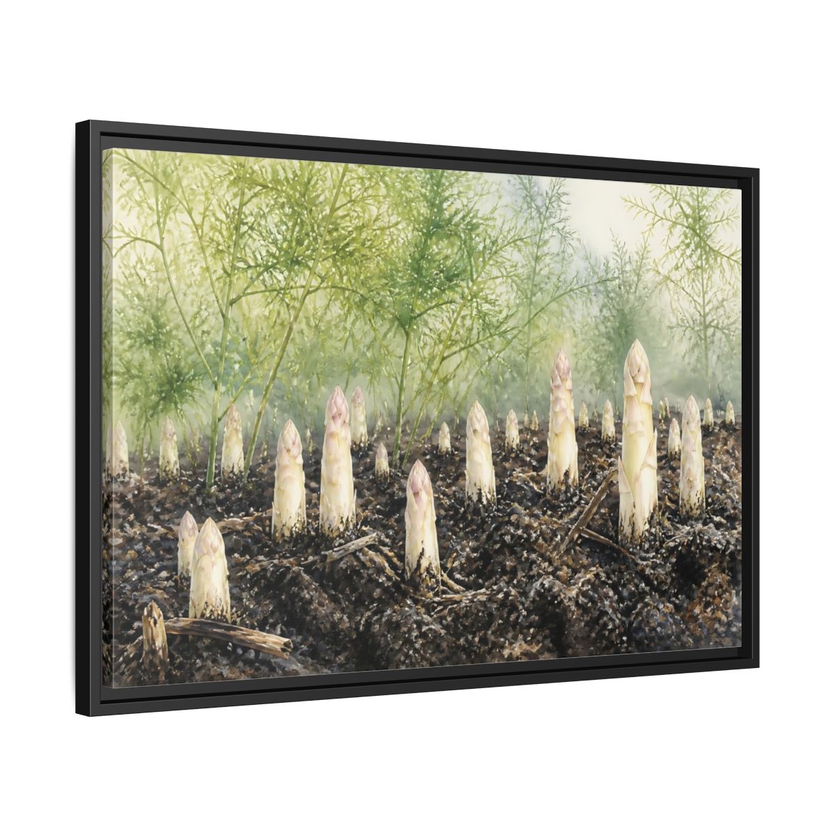 Side Mockup 14. Emerging White Asparagus shown as framed canvas print