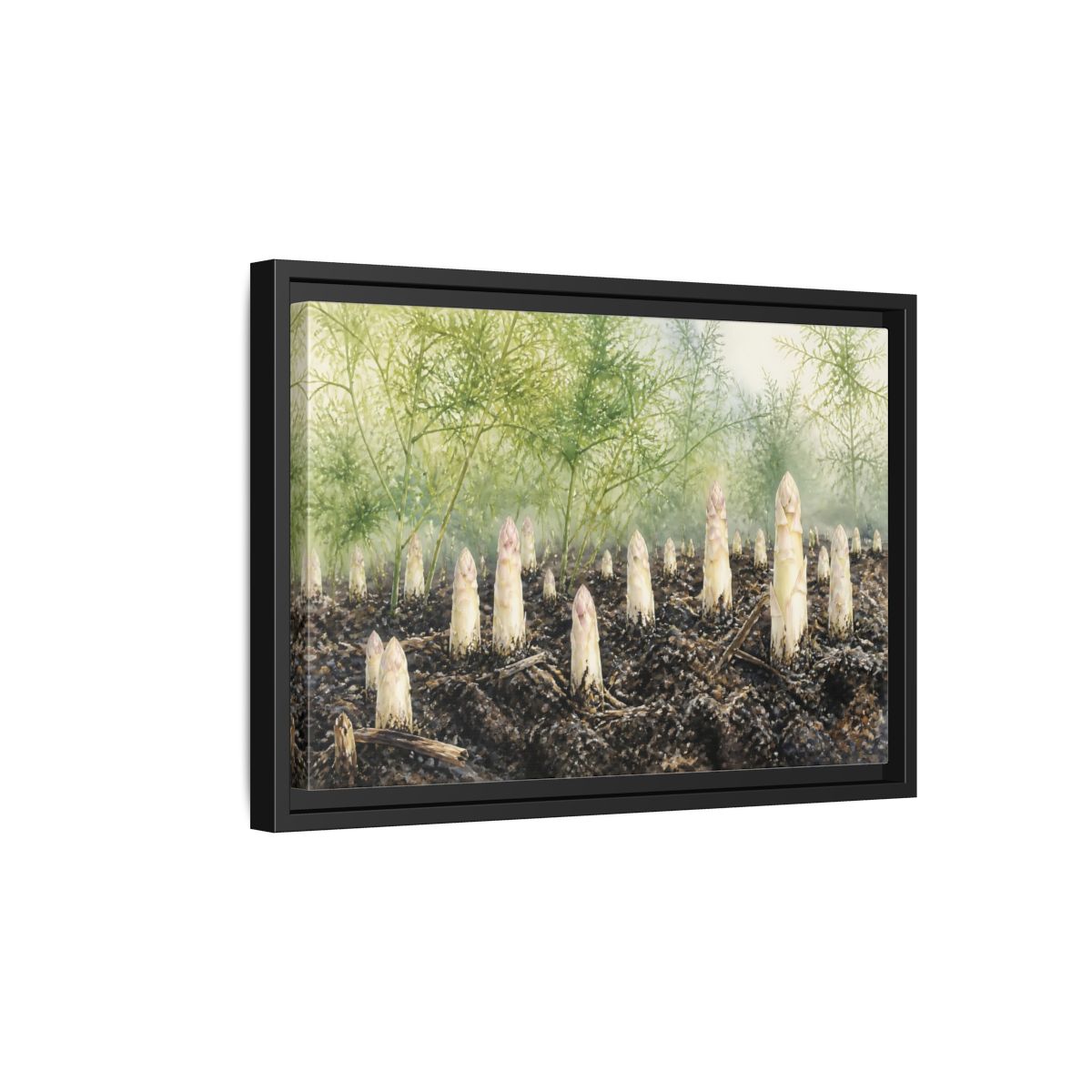 Side Mockup 6. Emerging White Asparagus shown as framed canvas print