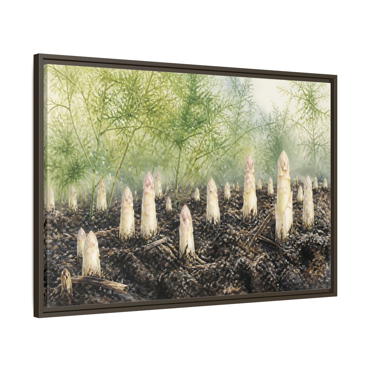 Main Mockup. Emerging White Asparagus shown as framed canvas print