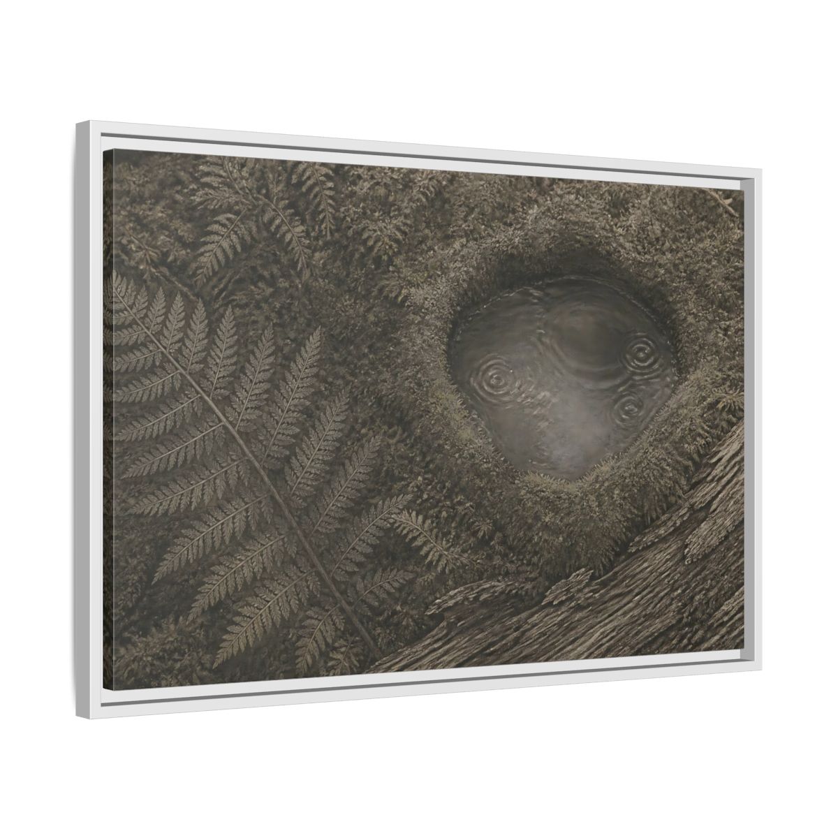 Side Mockup 10. Fern And Moss Hollow shown as framed canvas print