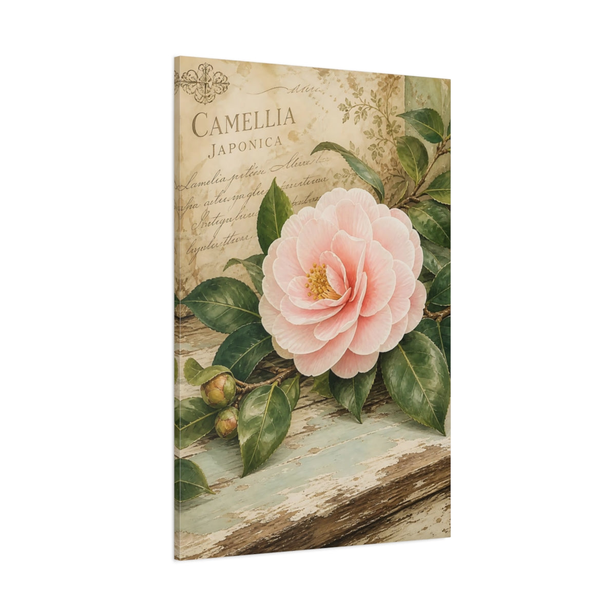 Side Mockup 1. Floral Camellia Pink Floral shown as stretched canvas wall art