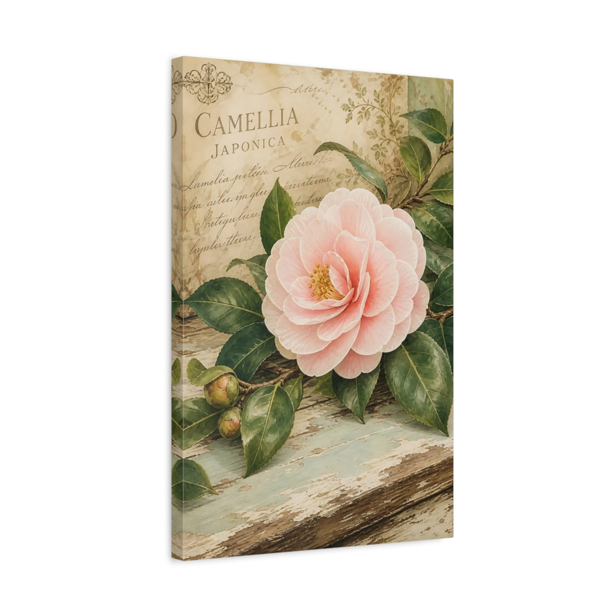 Side Mockup 3. Floral Camellia Pink Floral shown as stretched canvas wall art
