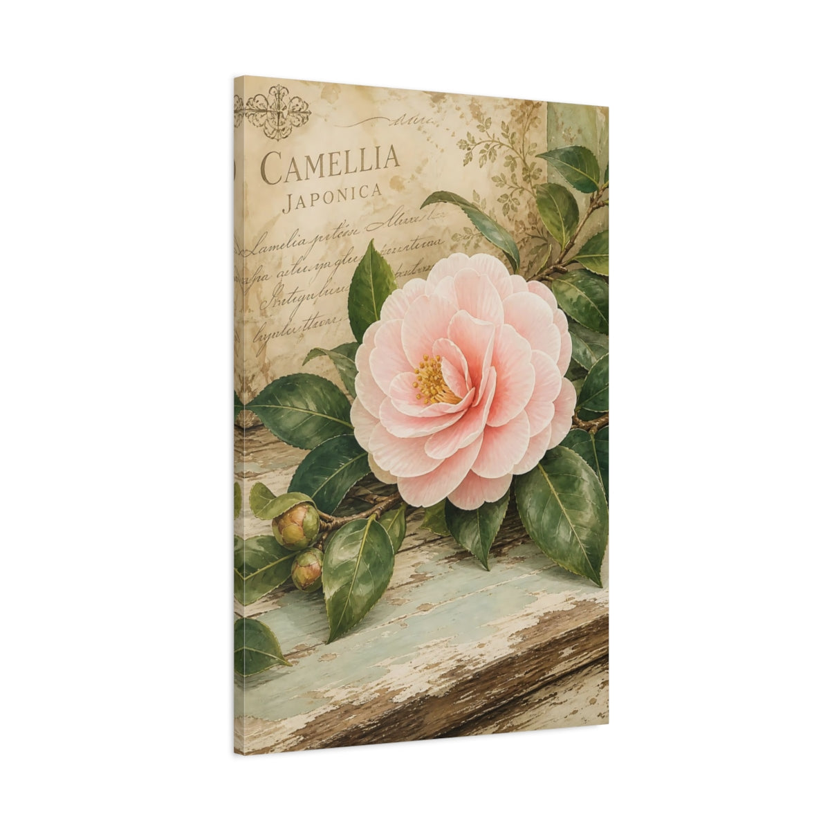 Main Mockup. Floral Camellia Pink Floral shown as stretched canvas wall art