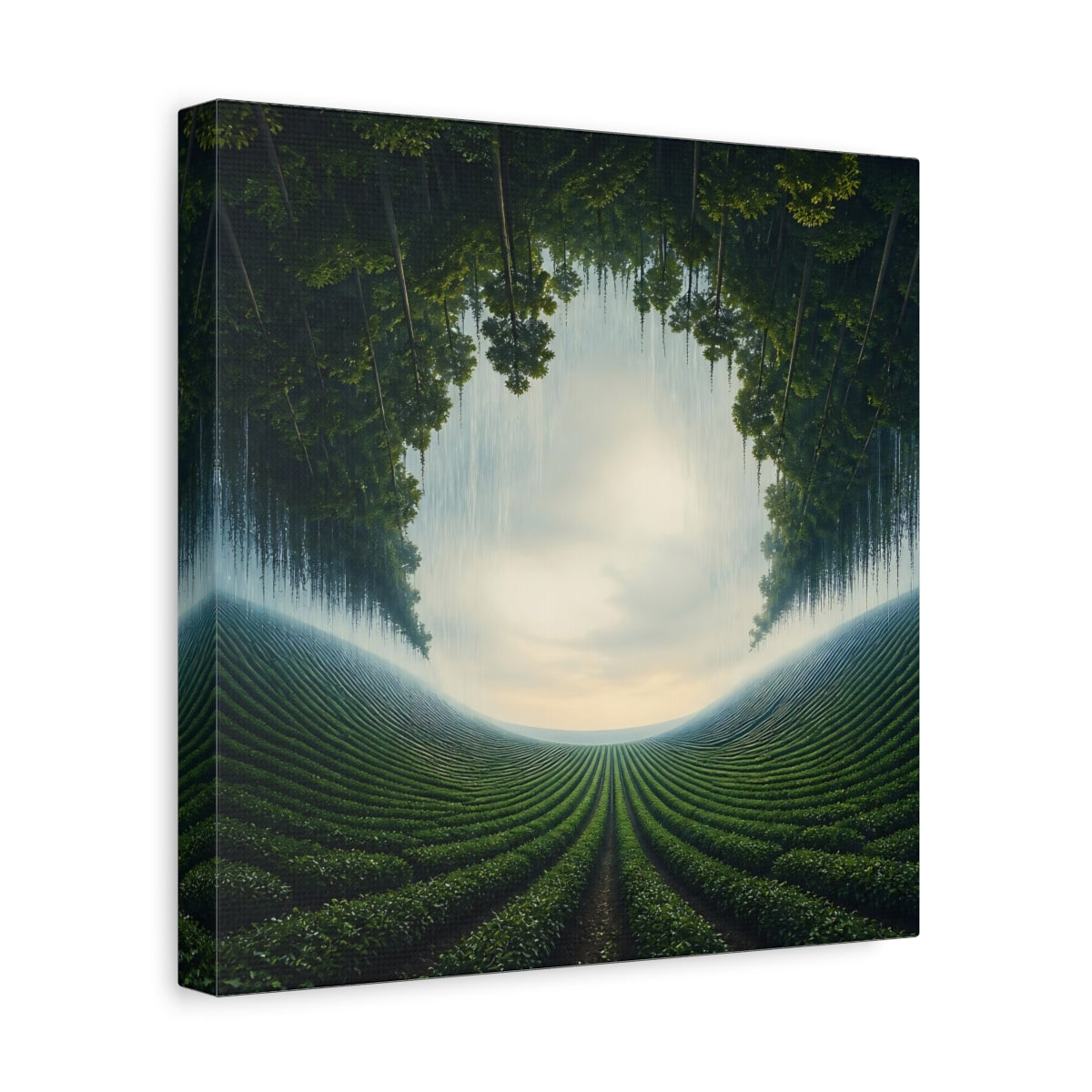 Side Mockup 8. Inverted Forest Illusion shown as canvas print