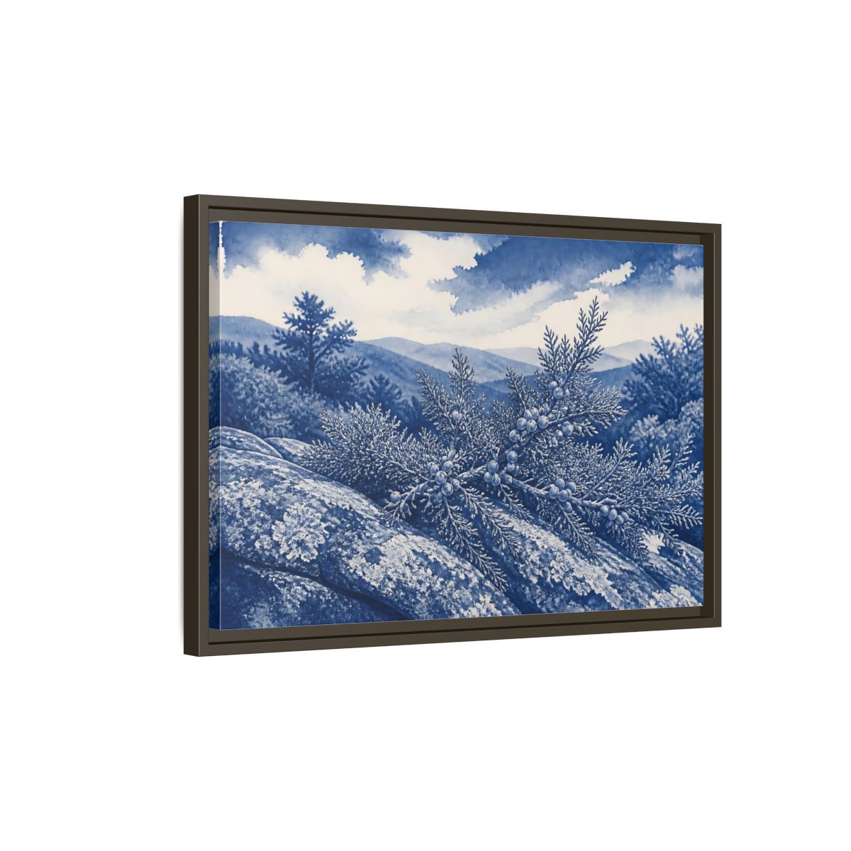Side Mockup 2. Juniper On Stone Ledge shown as framed canvas print