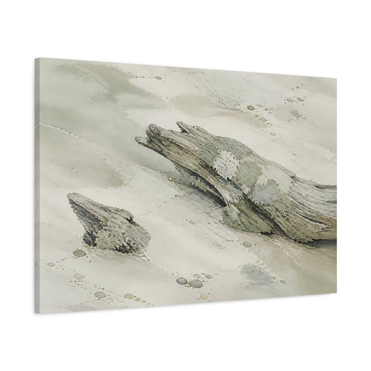 Main Mockup. Lichen-Covered Driftwood shown as canvas print
