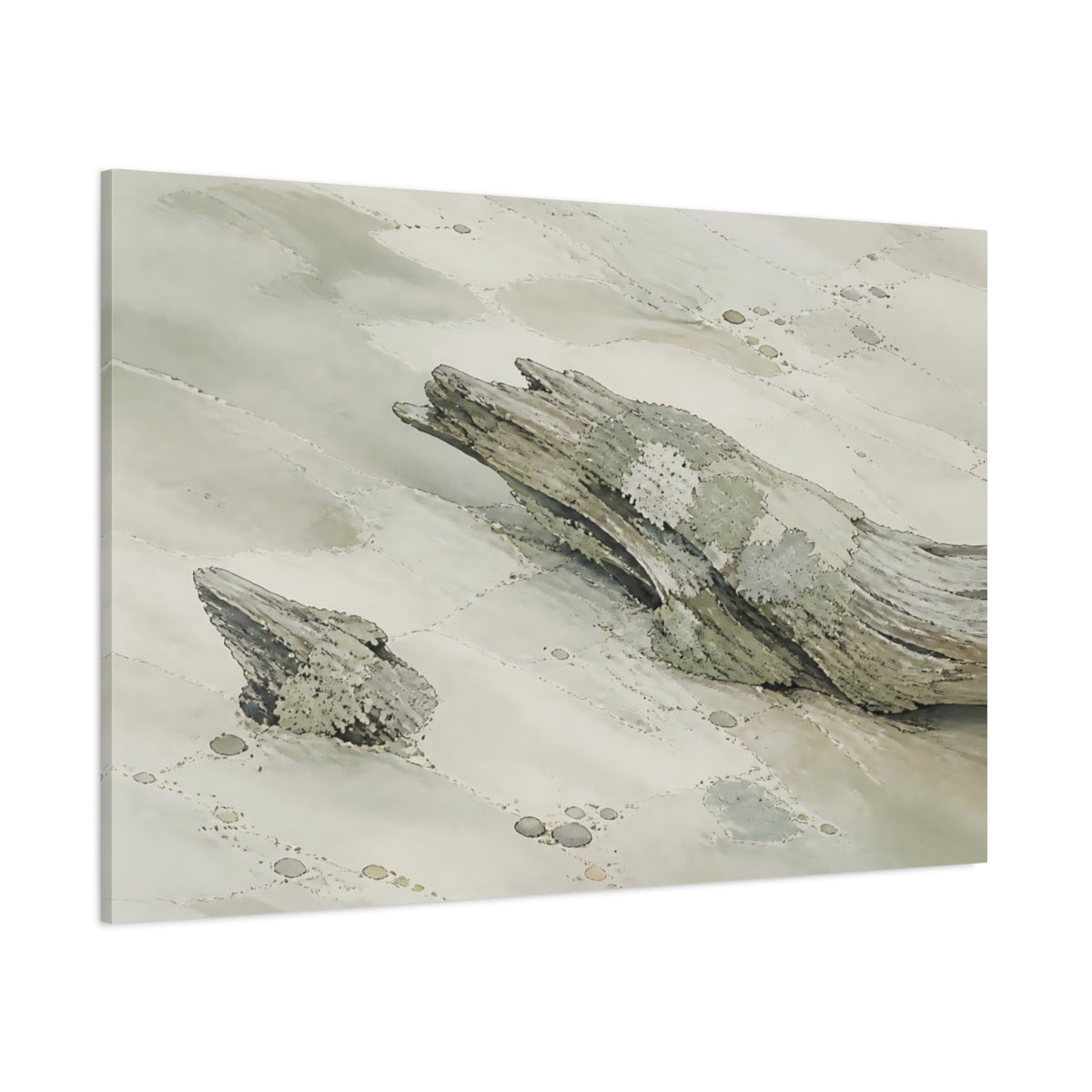 Side Mockup 1. Lichen-Covered Driftwood shown as canvas print