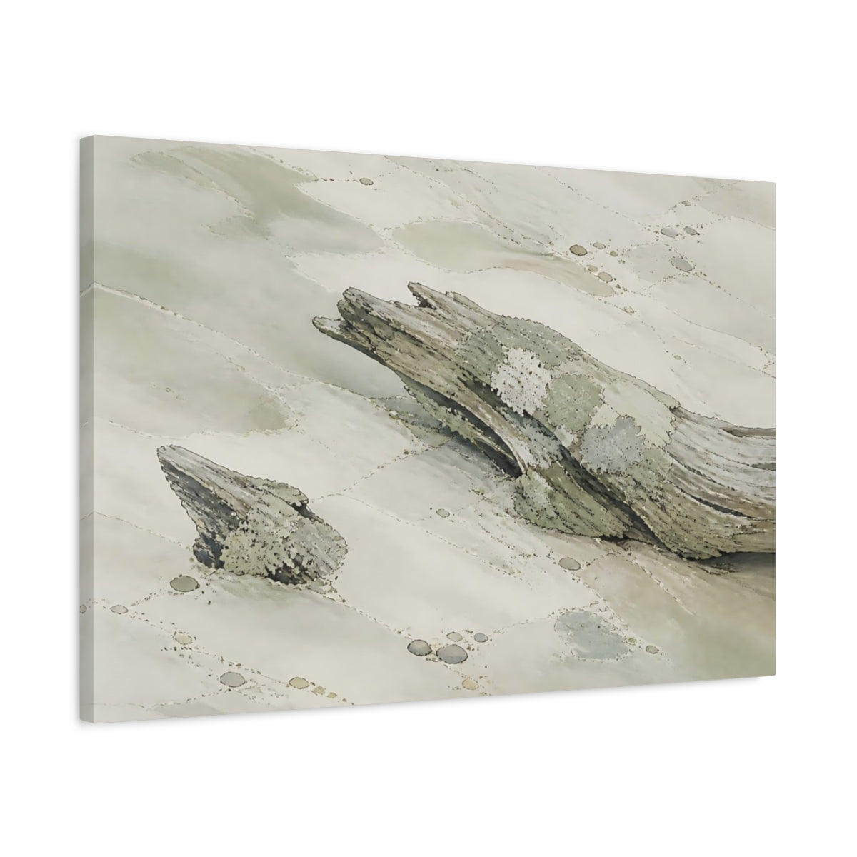 Side Mockup 2. Lichen-Covered Driftwood shown as canvas print