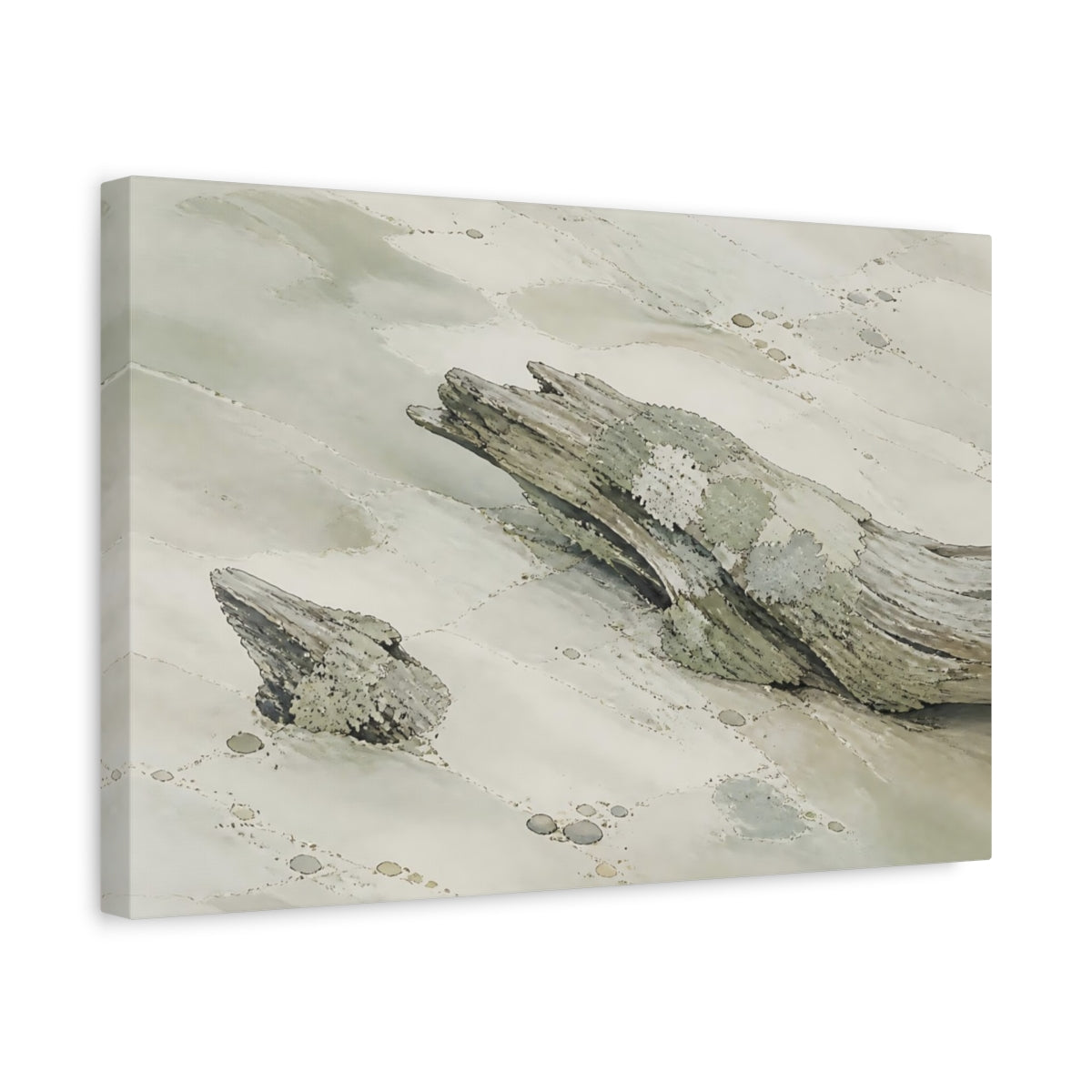 Side Mockup 4. Lichen-Covered Driftwood shown as canvas print