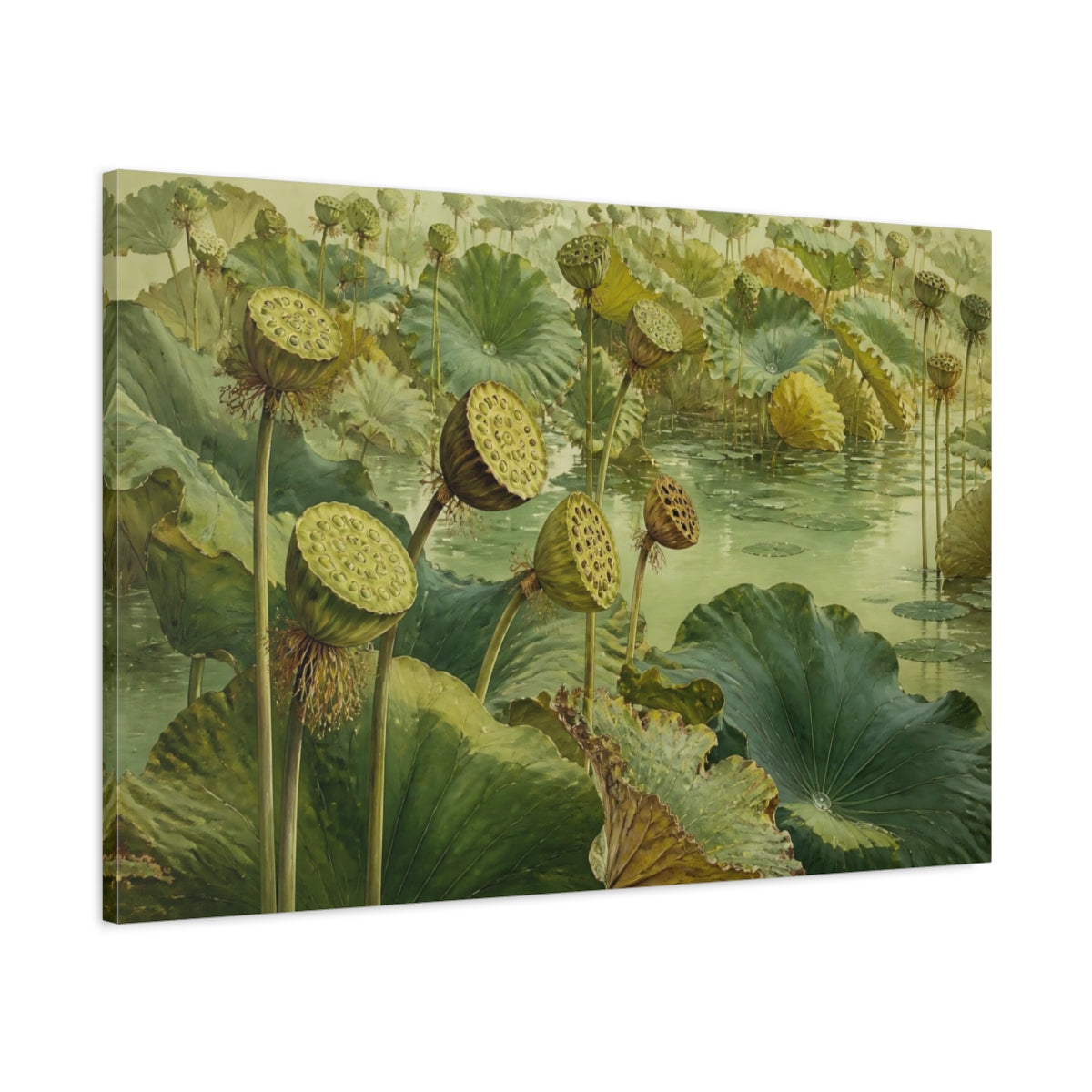 Main Mockup. Lotus Seed Heads Over Pond shown as canvas print