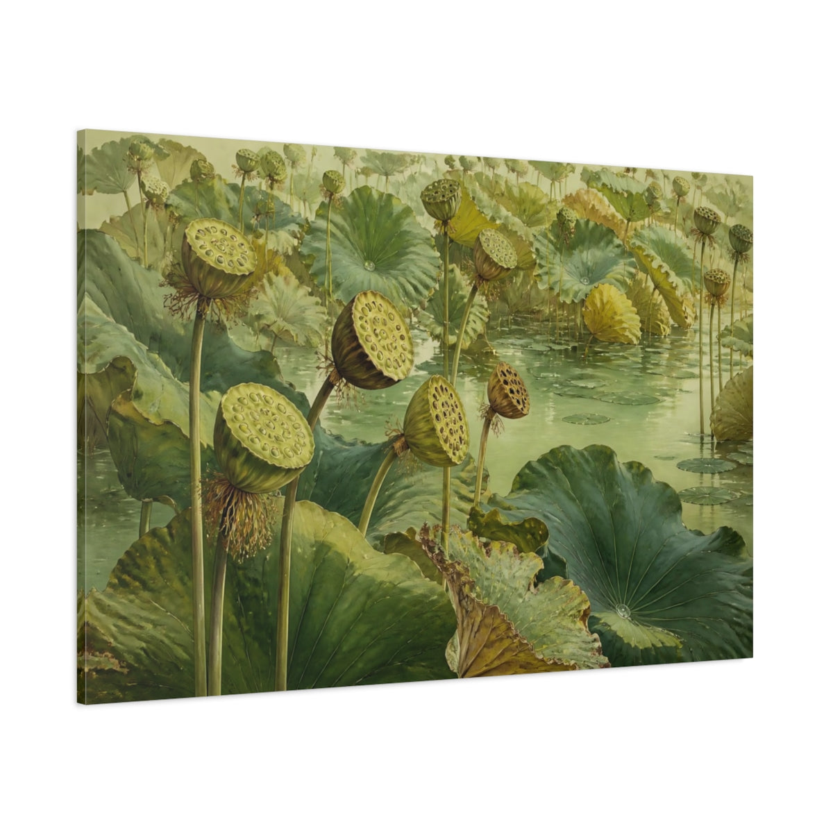 Side Mockup 1. Lotus Seed Heads Over Pond shown as canvas print