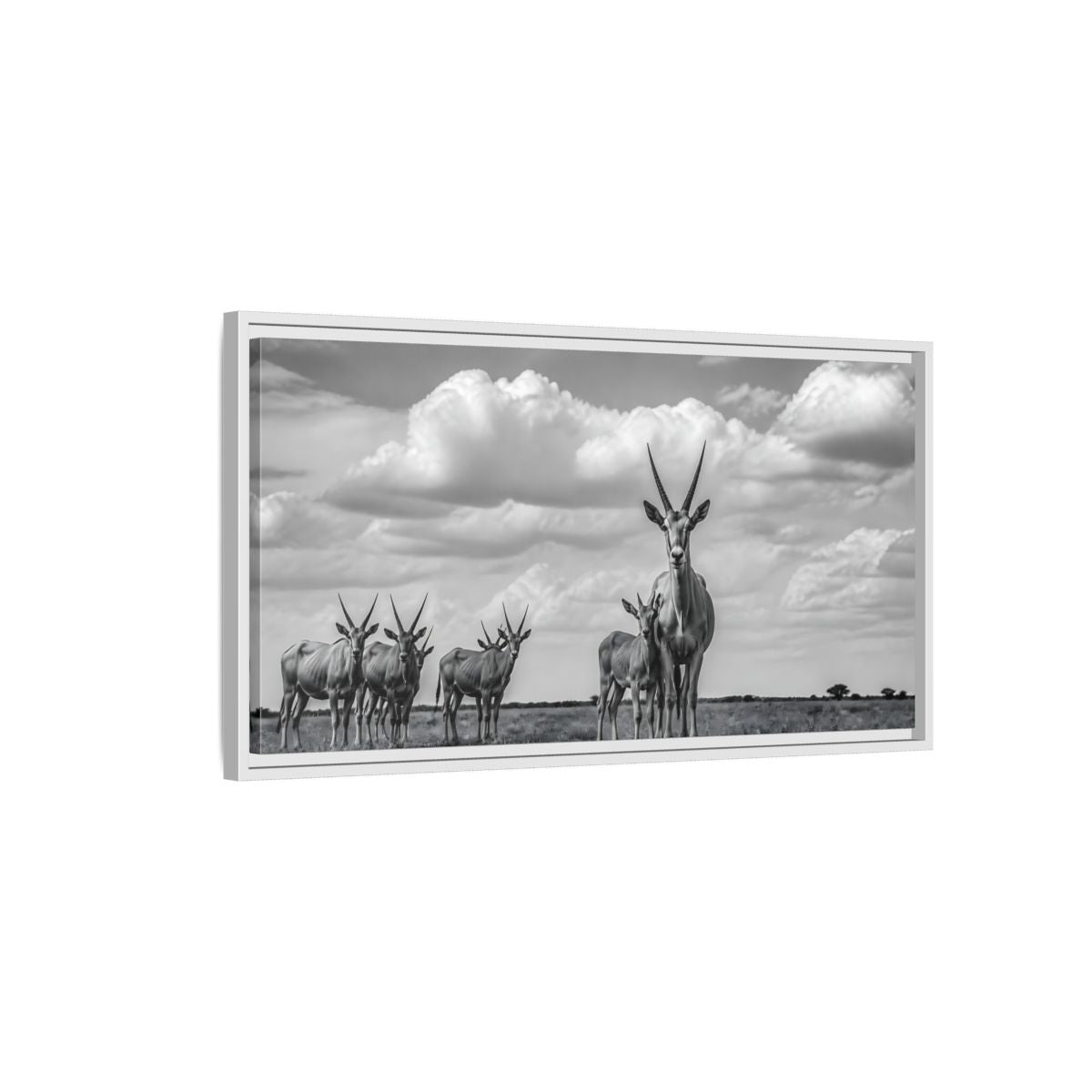 Side Mockup 1. Majestic Antelope Herd shown as framed canvas print