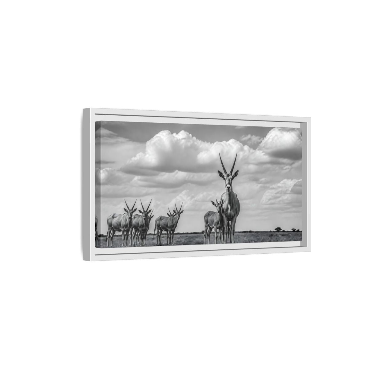 Side Mockup 6. Majestic Antelope Herd shown as framed canvas print