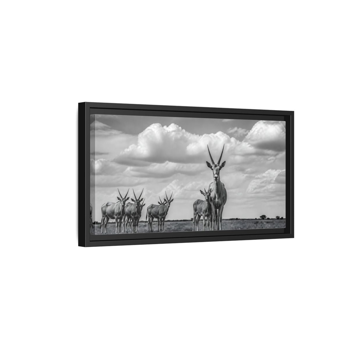 Side Mockup 8. Majestic Antelope Herd shown as framed canvas print