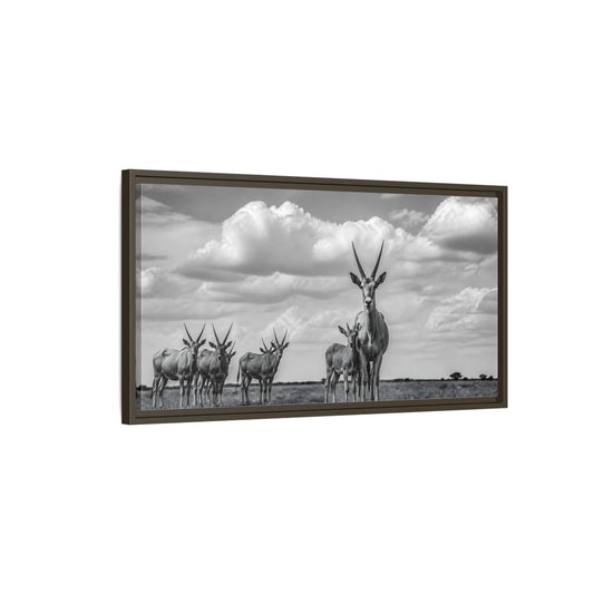 Main Mockup. Majestic Antelope Herd shown as framed canvas print