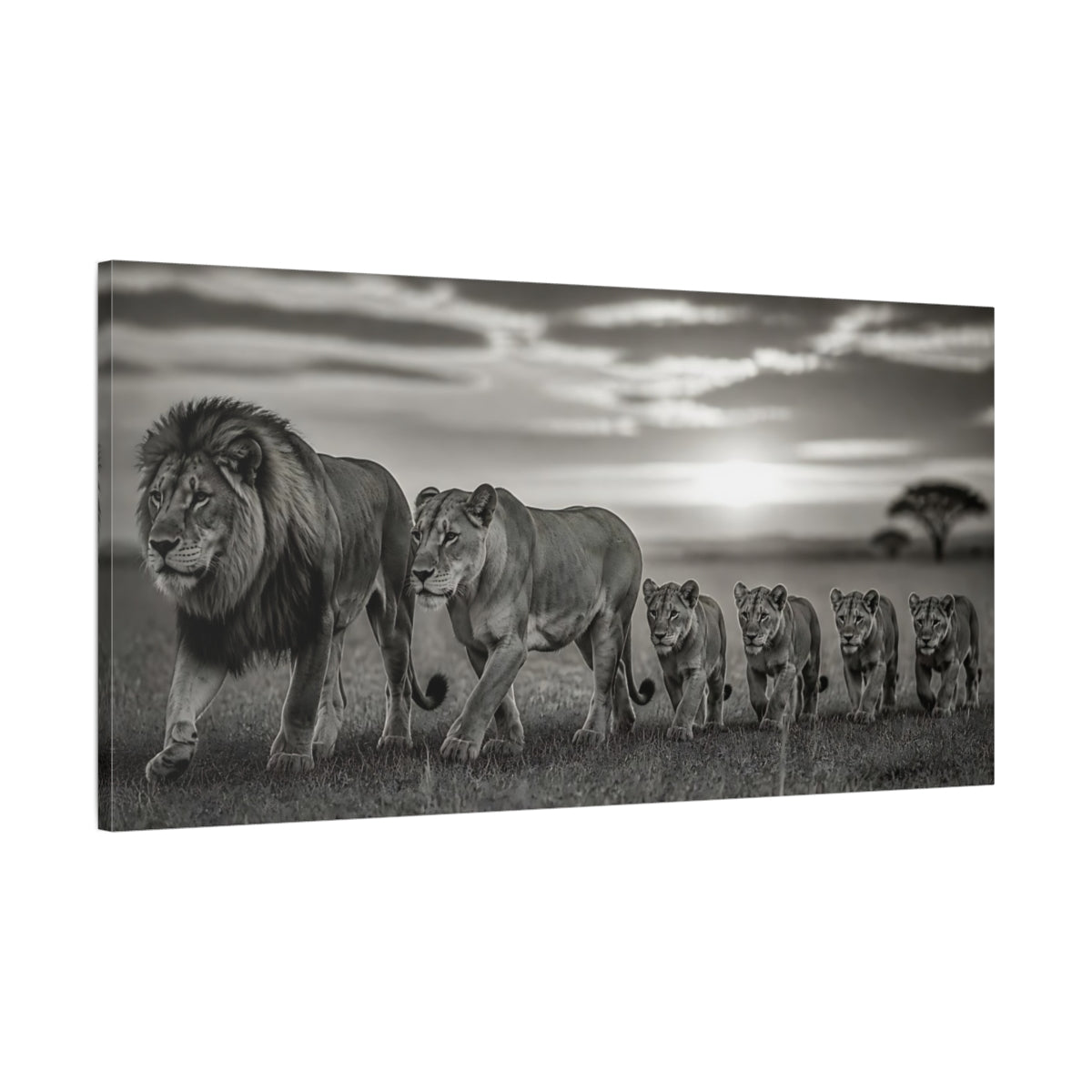 Main Mockup. Majestic Lion Pride At Dusk shown as canvas print