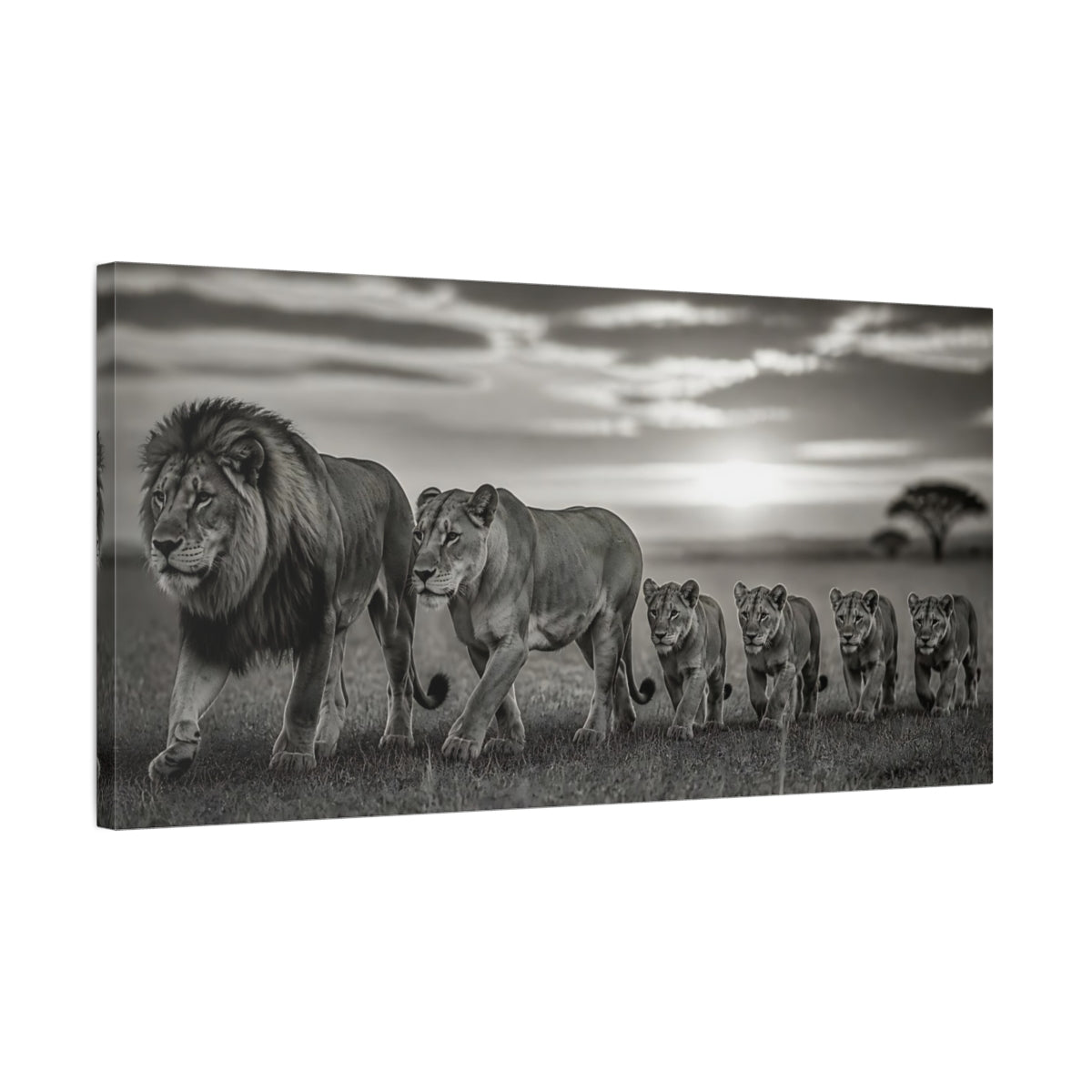 Side Mockup 1. Majestic Lion Pride At Dusk shown as canvas print