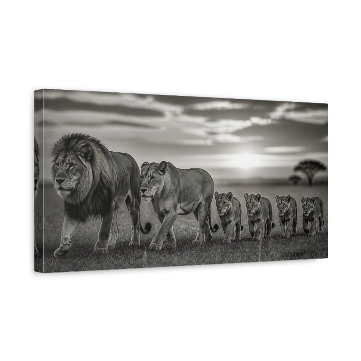 Side Mockup 3. Majestic Lion Pride At Dusk shown as canvas print