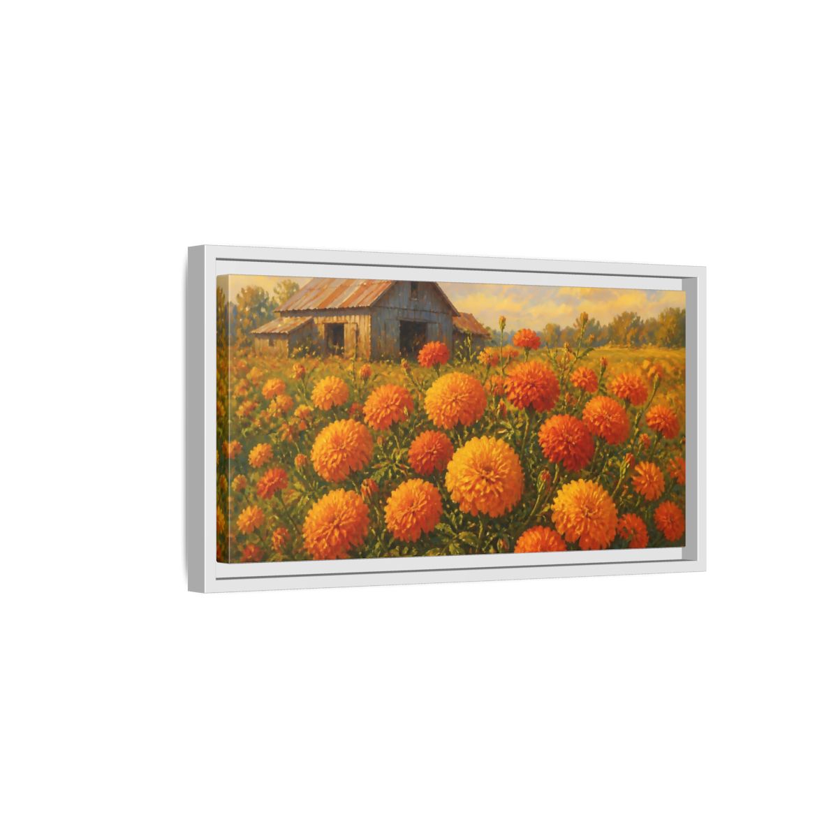 Side Mockup 6. Marigold Field And Barn shown as framed canvas print