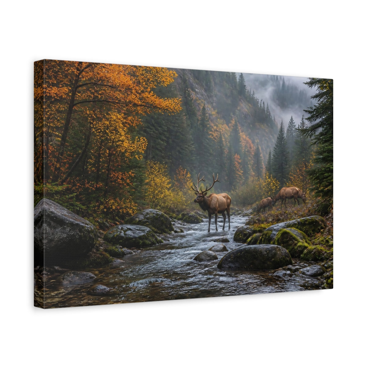 Side Mockup 4. Misty Autumn Elk shown as canvas print