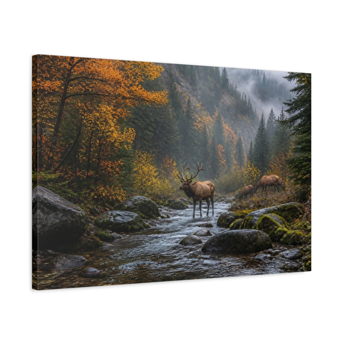 Side Mockup 2. Misty Autumn Elk shown as canvas print