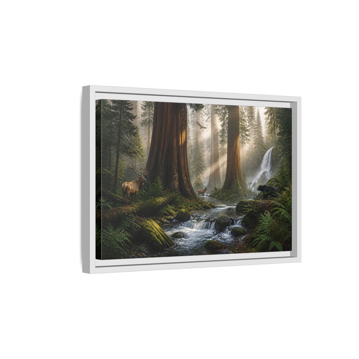 Side Mockup 4. Morning Redwood Sanctuary shown as framed canvas print