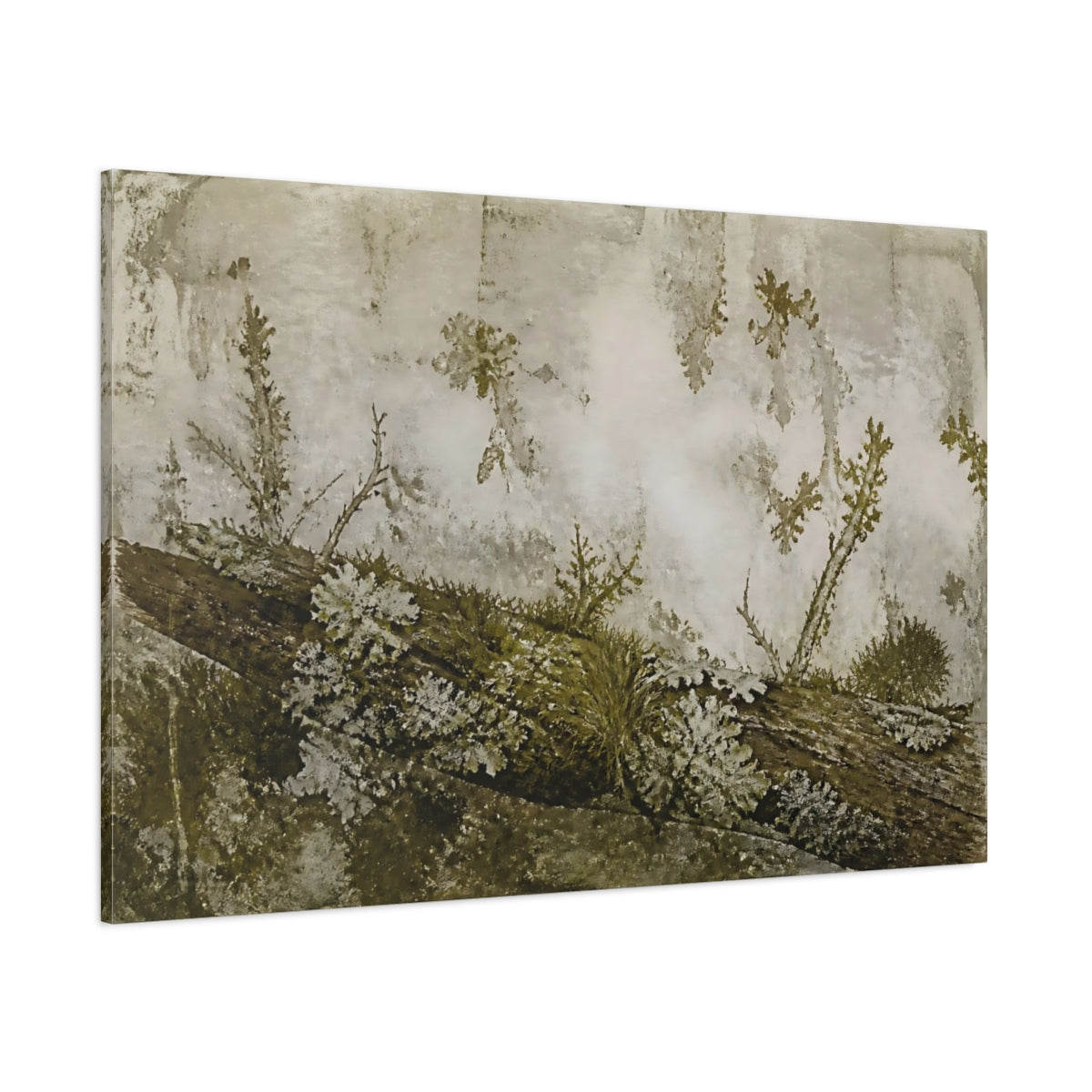 Side Mockup 1. Moss And Lichen On Branch shown as canvas print