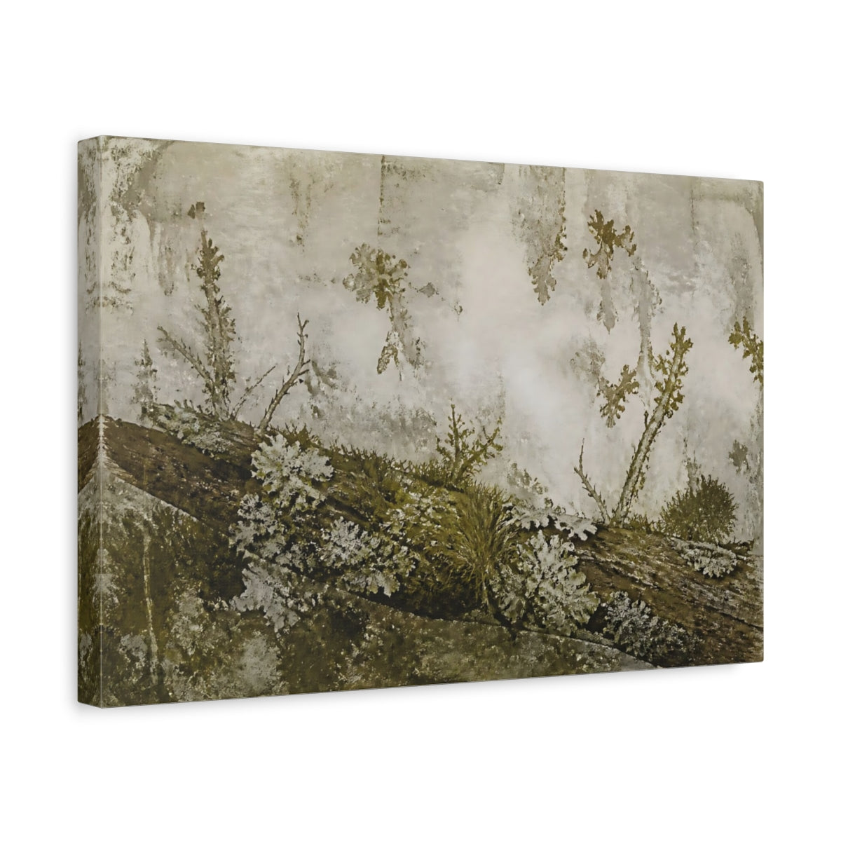 Side Mockup 4. Moss And Lichen On Branch shown as canvas print