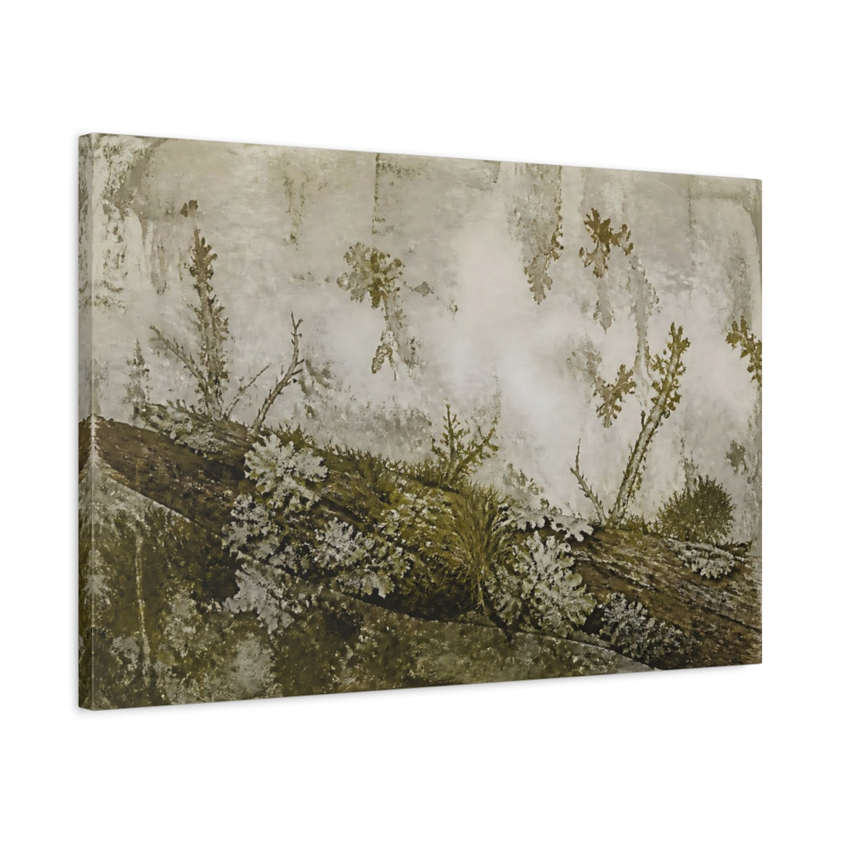 Side Mockup 2. Moss And Lichen On Branch shown as canvas print