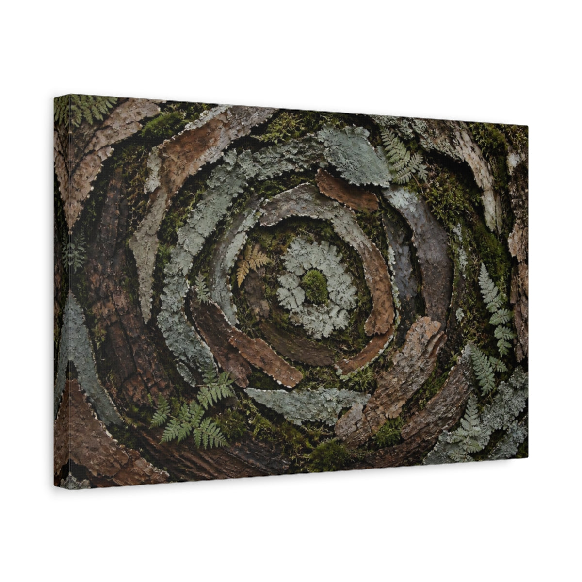 Side Mockup 4. Moss And Lichen Spiral shown as canvas print