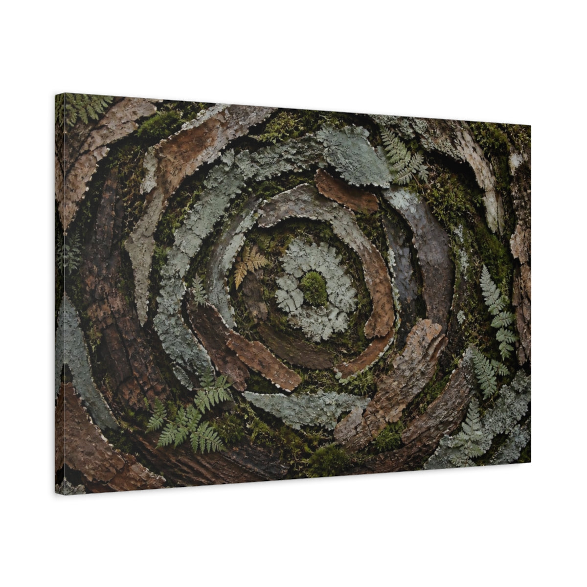 Side Mockup 2. Moss And Lichen Spiral shown as canvas print