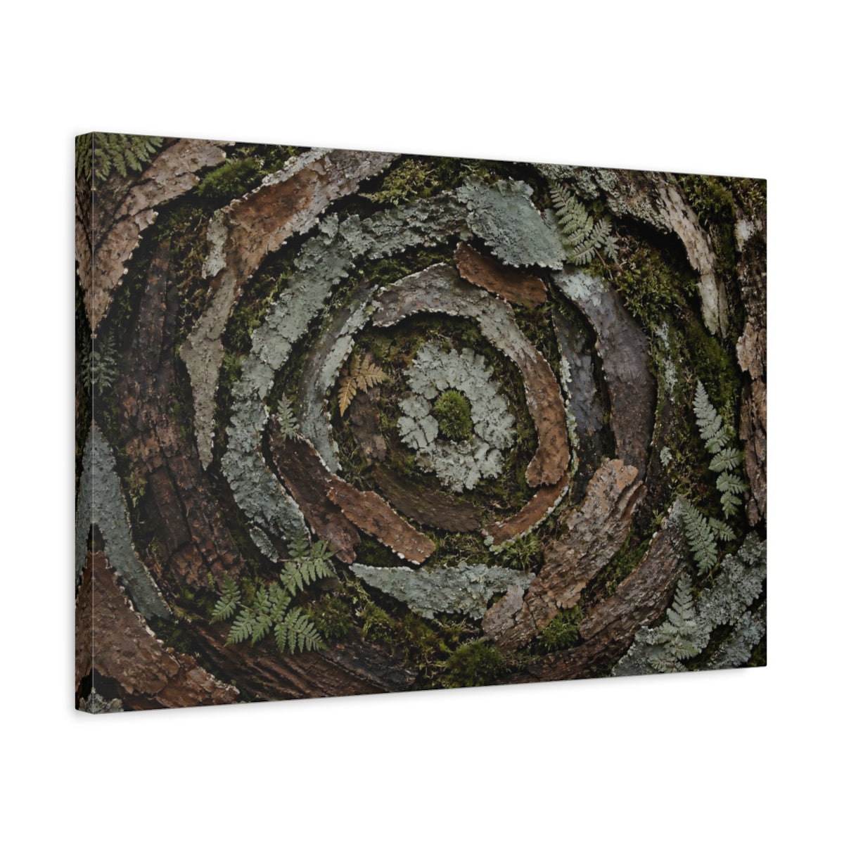 Side Mockup 3. Moss And Lichen Spiral shown as canvas print