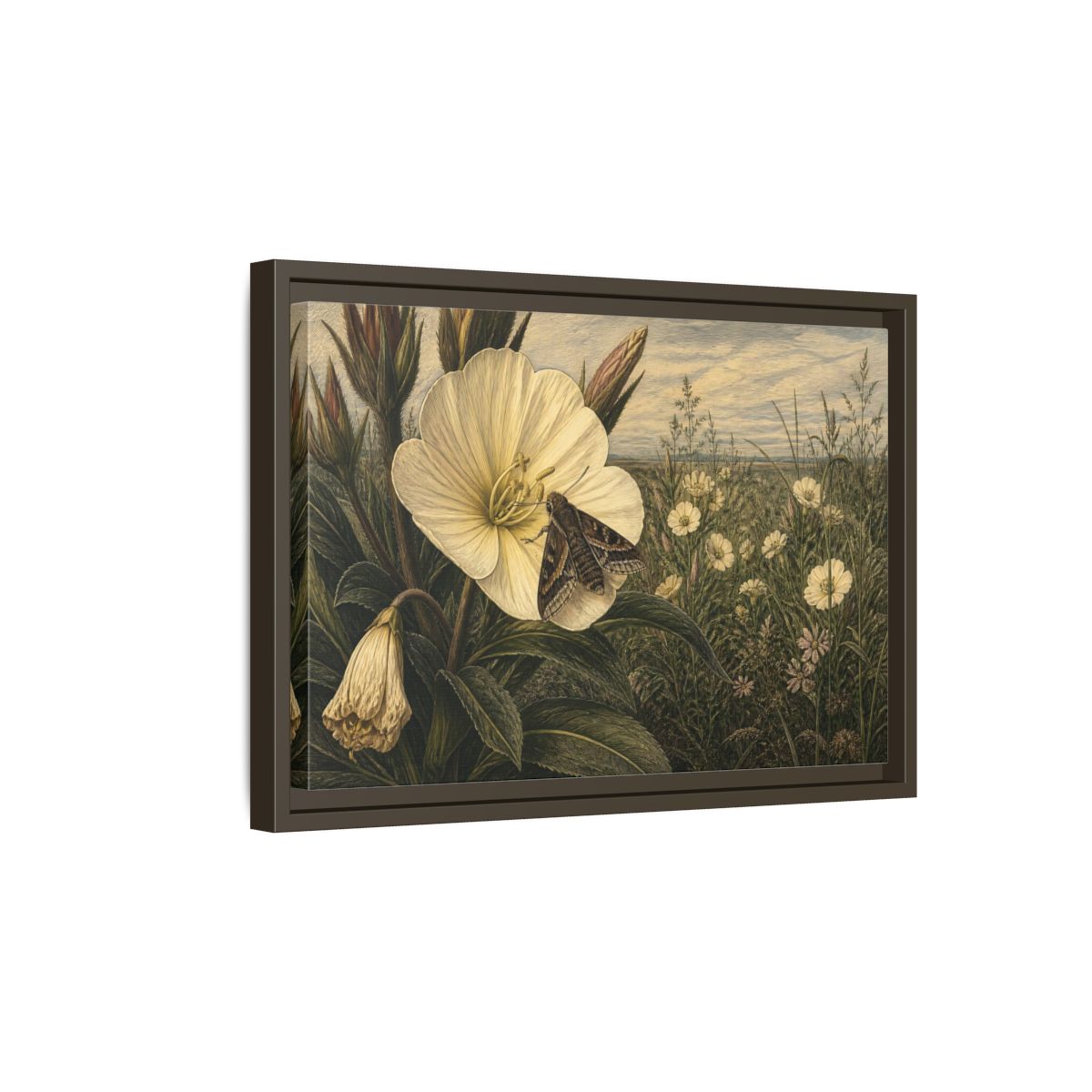 Side Mockup 5. Moth On Evening Primrose shown as framed canvas print