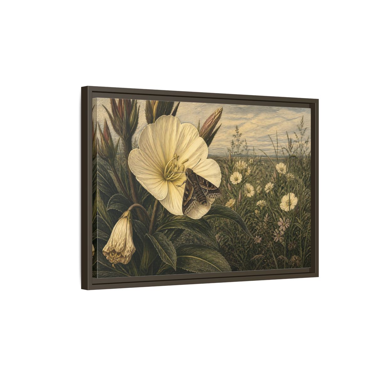 Side Mockup 2. Moth On Evening Primrose shown as framed canvas print