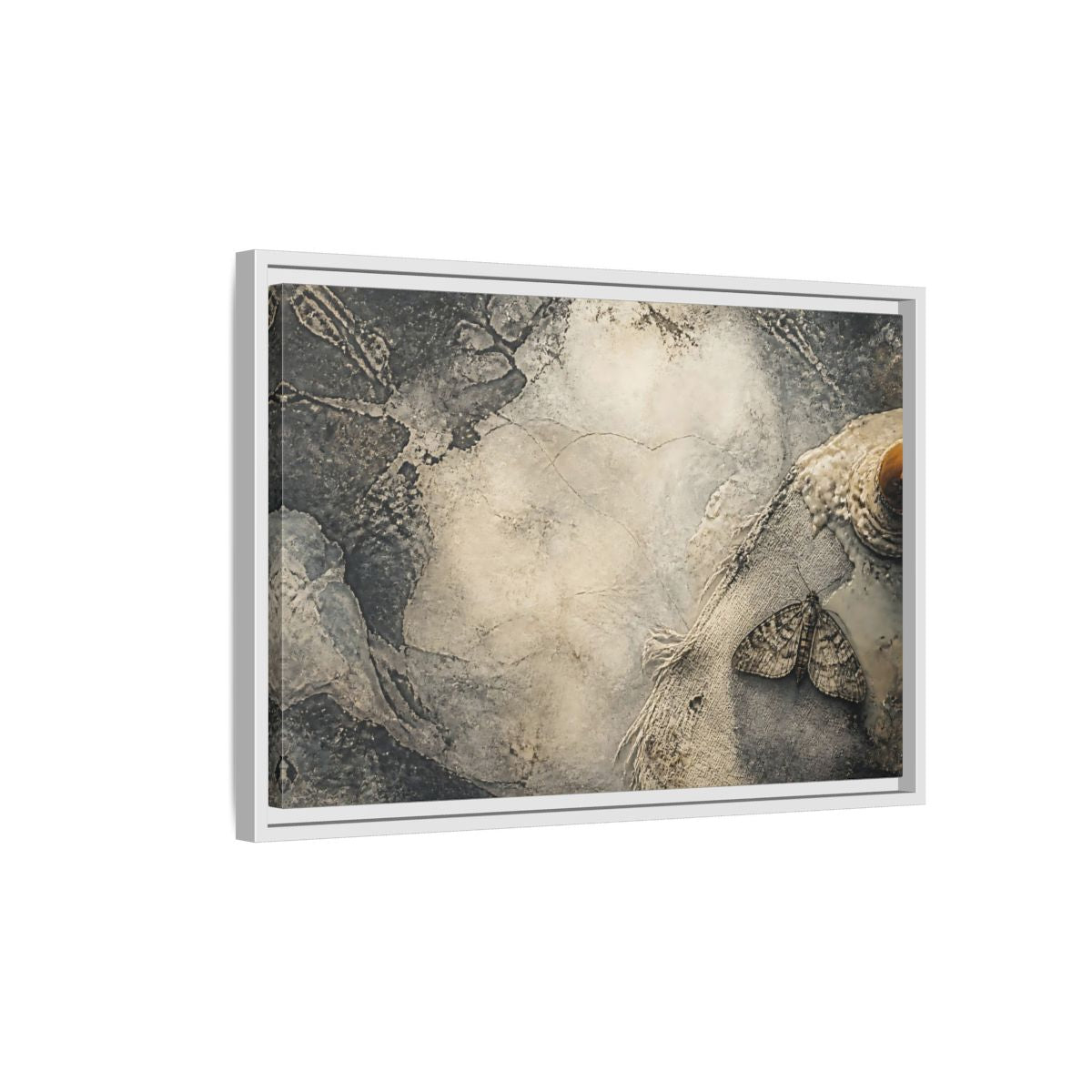 Side Mockup 1. Moth On Frayed Linen shown as framed canvas print