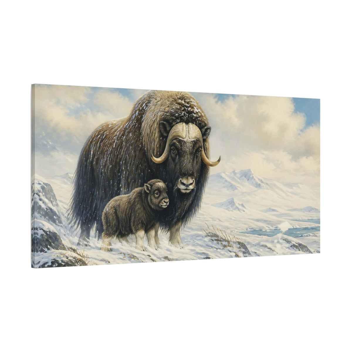 Side Mockup 2. Musk Ox Mother And Calf shown as canvas print