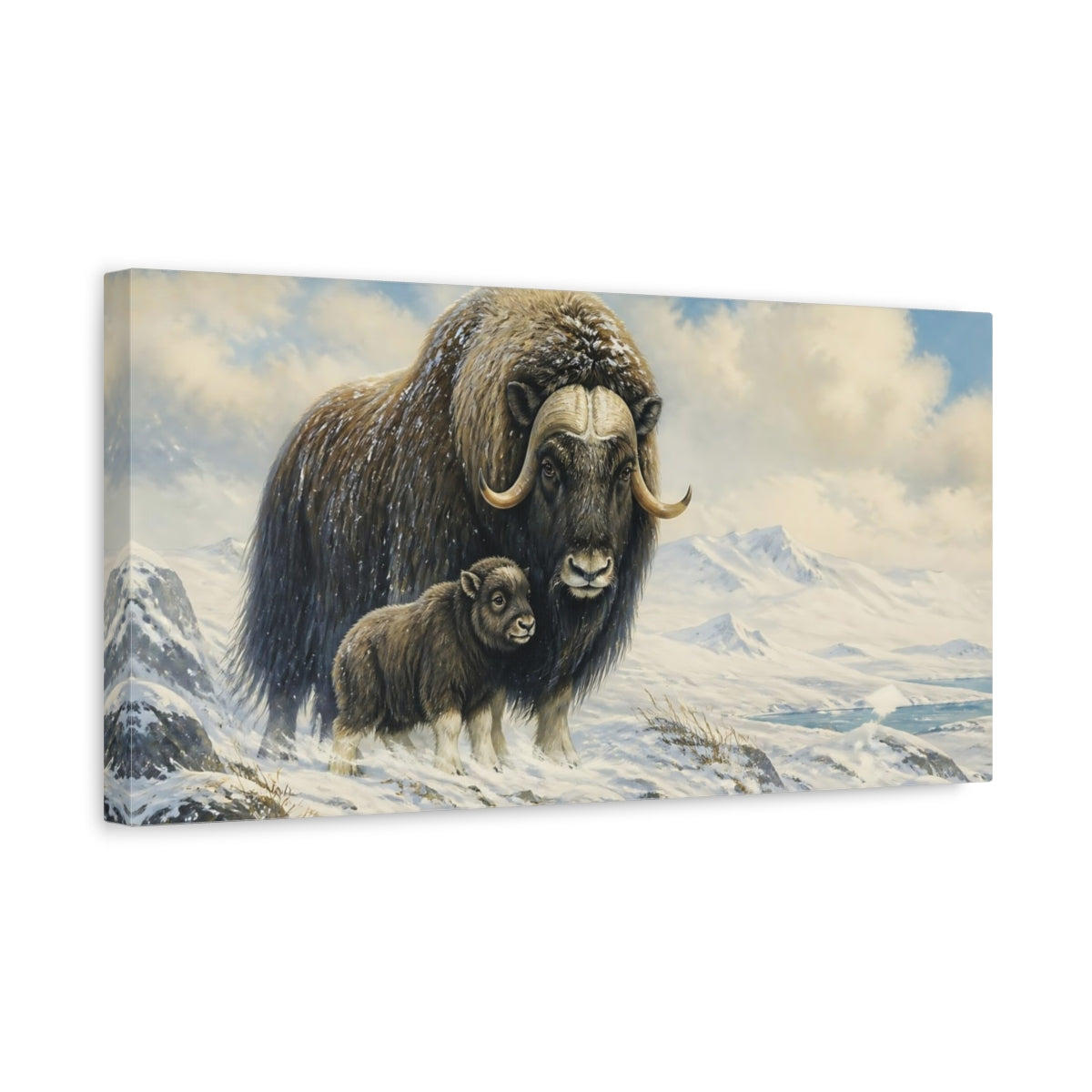 Side Mockup 3. Musk Ox Mother And Calf shown as canvas print